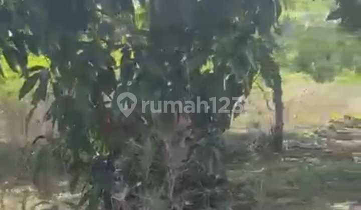 The land can be used for a villa area.