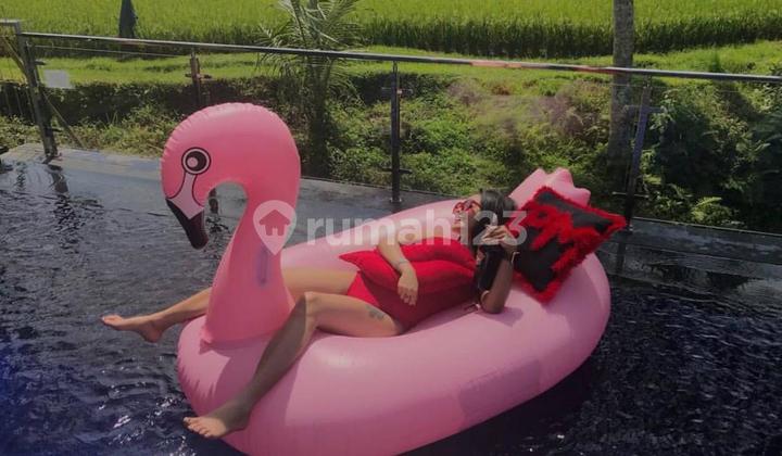 Beautiful Villa With Swimming Pool on Mainroad Jalan Cinta Ubud Bali 2