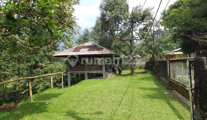 Durian Plantation, Livestock and Fisheries Cheap Cijeruk West Java at Jl. Cihideung No. 14, Cipelang, Cijeruk, Bogor, West Java, Indonesia, 16740, Cijeruk Land SHM Ha 1.6