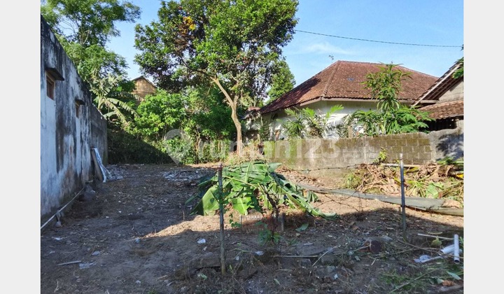 Tanah Premium di Caturharjo Sleman Kota Yogyakarta, SHM Ready, Harga Terjangkau!