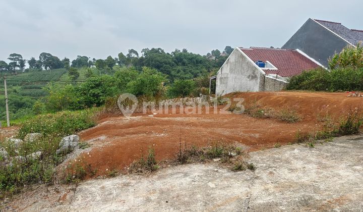 Tanah Siap Bangun Lingkungan Asri - Cikoneng 3 Cibiru Tanah Siap Bangun Lingkungan Asri - Cikoneng 3 Cibiru