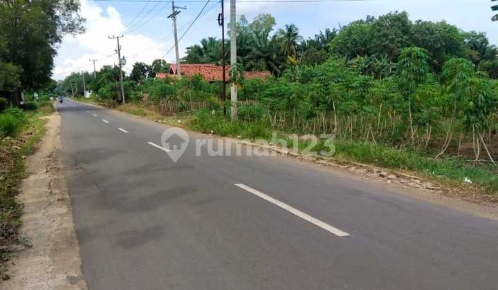 Tanah Strategis Pingir Jalan Propinsilampung