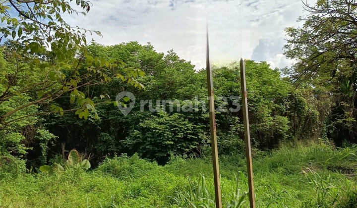 Cheap Land Bubb Parung Panjang Cheap Land Bubb Parung Panjang