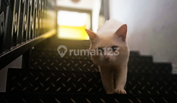 Dijual Rumah Beserta Isi Nya.. Muraaahh !! 2