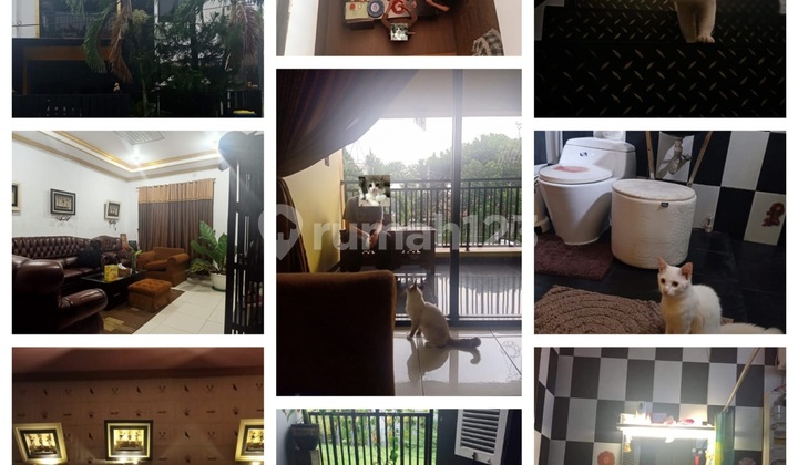 Dijual Rumah Beserta Isi Nya.. Muraaahh !! Dijual Rumah Beserta Isi Nya.. Muraaahh !!
