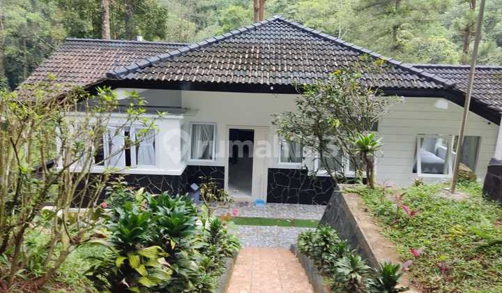 Dijual Murah Villa Mewah dan Cantik Diatas Bukit di Megamendung Puncak Bogor