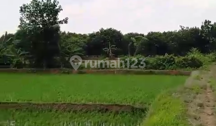 Dijual Sawah di Subang bisa Dibangun Pabrik