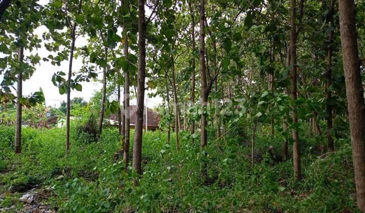 For Lease: Premium 1.5-Hectare Land In Batumulapan, Nusa Penida