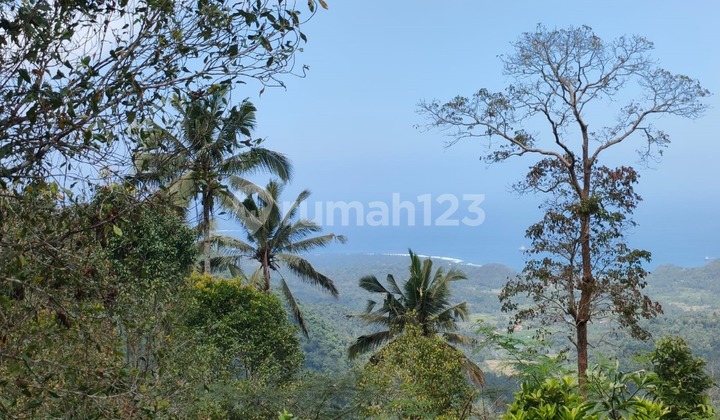 Dijual Tanah Full View Pelabuhan Padangbay Manggis Bali