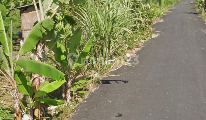 Land Plot for Sale Starting from 1 Are Located in Padang Galak, Sanur, Bali Land Plot for Sale Starting from 1 Are Located in Padang Galak, Sanur, Bali