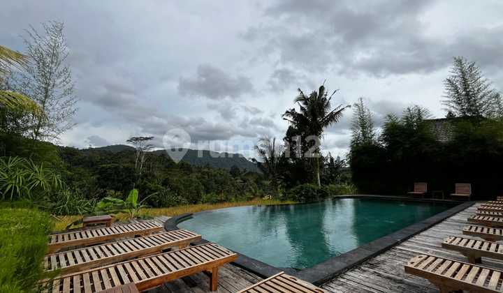 For Sale Balinese Classic & Modern Villa In Sidemen Bali