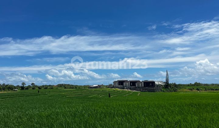 For Sale Land with Sea, Mountain, and Rice Field Views at Pantai Pasut Tabanan For Sale Land with Sea, Mountain, and Rice Field Views at Pantai Pasut Tabanan