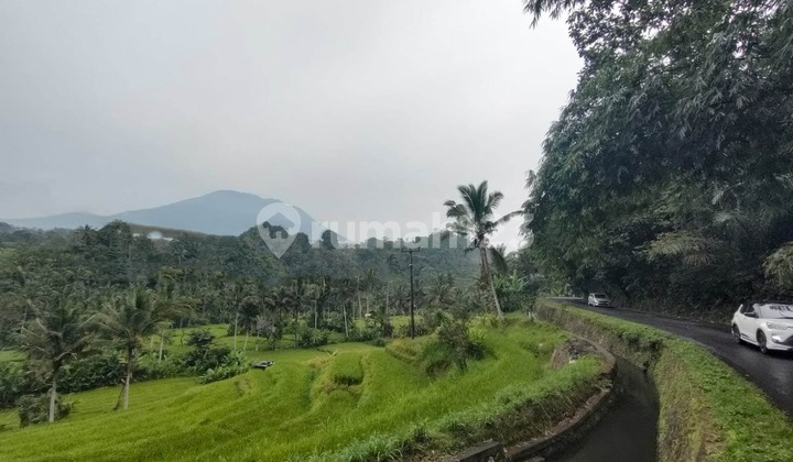 Dijual Tanah Full View Gunung & Sawah Sudah Ada Konsep Villa di Sidemen Karangasem Bali Dijual Tanah Full View Gunung & Sawah Sudah Ada Konsep Villa di Sidemen Karangasem Bali