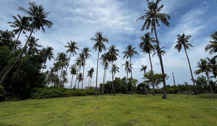 Dijual Tanah Beachfront Los Pantai Sumberkima Singaraja