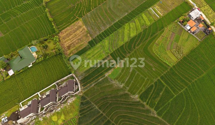 Land for Sale Below Market Price, Attached to Villa, Price per Unit 5 Billion with Views of the Sea, Mountains, and Rice Fields - 700 Meters to the Beach in Tibu Biyu, Tabanan, Bali Land for Sale Below Market Price, Attached to Villa, Price per Unit 5 Billion with Views of the Sea, Mountains, and Rice Fields - 700 Meters to the Beach in Tibu Biyu, Tabanan, Bali