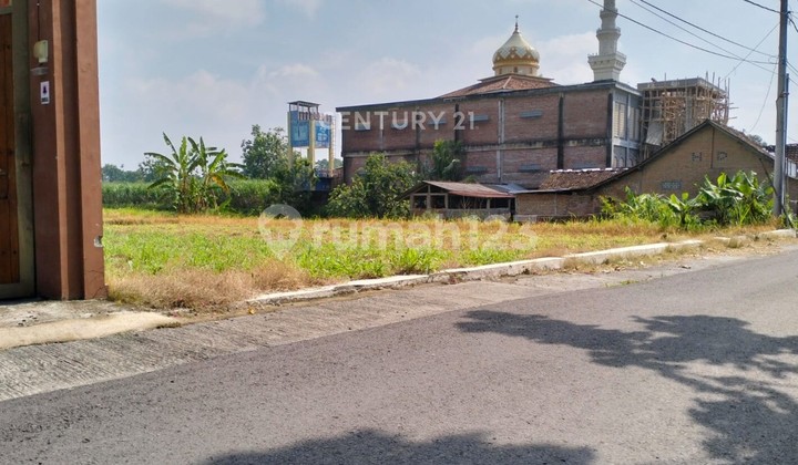 Tanah Sawah 1368M2 Hanya 900M ke Embung Potorono Tanah Sawah 1368M2 Hanya 900M ke Embung Potorono