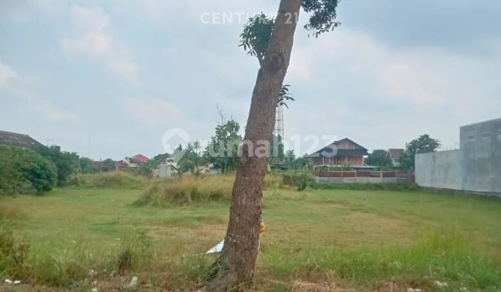 Tanah Sawah Ld 12M Pinggir Jalan Raya Godean