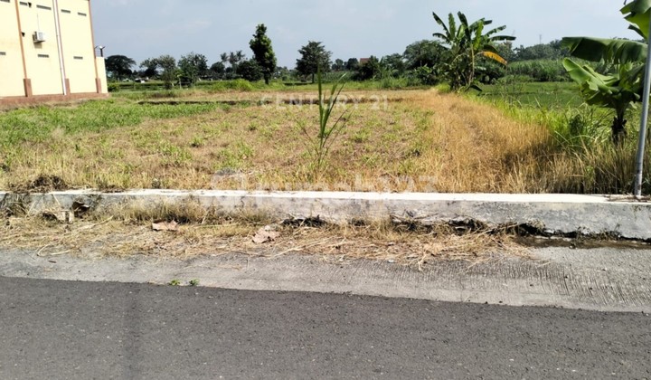 Dijual Murah Tanah Bagus Pinggir Jln Aspal di Potorono Banguntpn Dijual Murah Tanah Bagus Pinggir Jln Aspal di Potorono Banguntpn