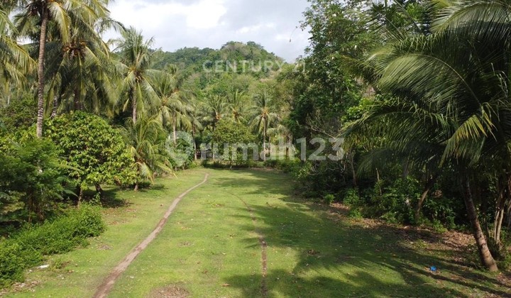 Tanah Luas Dekat Pantai Lombok Buat Villa
