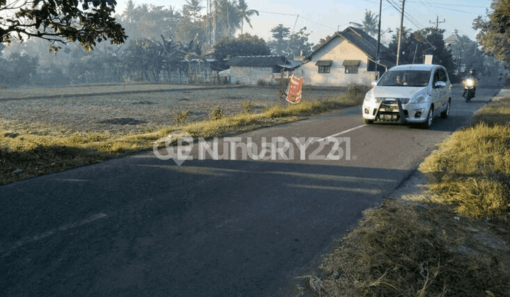 Large Land on Jalan Wonosari KM 6 Area, Berbah, Sleman