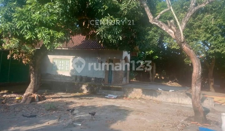 Land 983M2 Rural Area in Bantul Suitable for Modern Javanese House