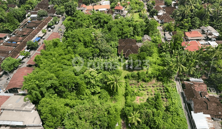 Land Area 9031 M2 in Ngemplak, Only 50M from Jambon Market
