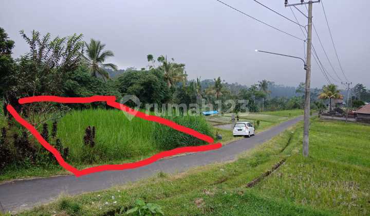 Land, SHM, Near Tourist Attractions, in Pupuan Village, Tegalalang District, Gianyar Regency, Bali