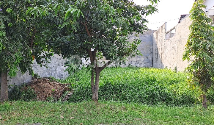 A015. Dijual Tanah Kavling Jemursari Selatan.