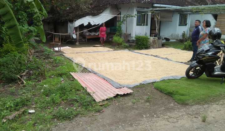 Investasi Tanah Bantul Harga 180 Jutaan