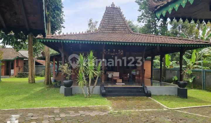 Villa Tanah Luas SHM di Turi Harga Nego