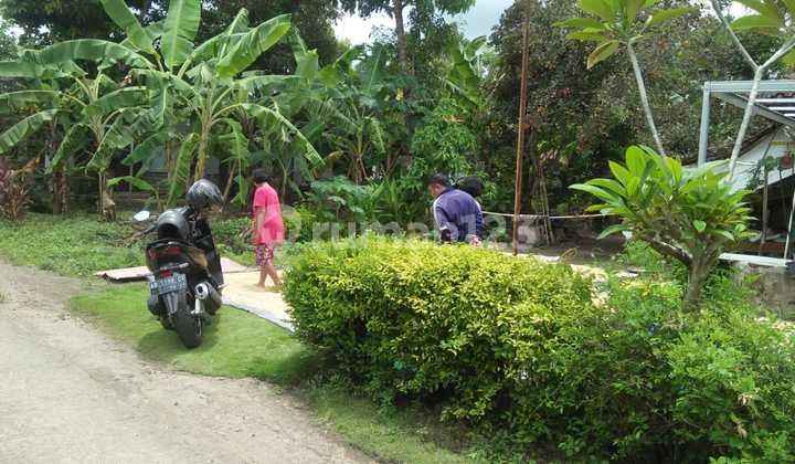 Tanah Pekarangan Siap Bangun Area Bambanglipuro Bantul Tanah Pekarangan Siap Bangun Area Bambanglipuro Bantul