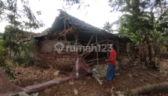 Tanah Luas 524 M² Bantul - Cocok Kavling atau Rumah Tinggal