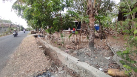 Tanah Luas 524 M² Bantul - Cocok Kavling atau Rumah Tinggal