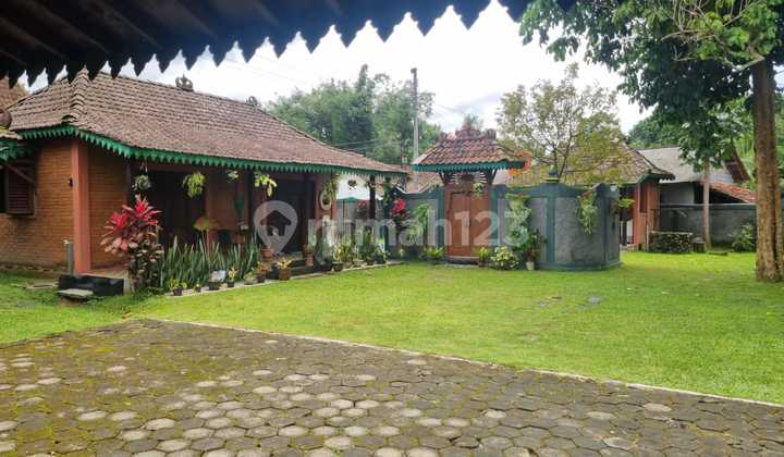 Quick Sale Beautiful Villa, Freehold Land in Turi