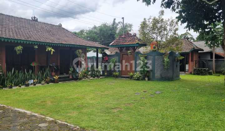 Dijual Villa Cantik di Girikerto Turi - Cocok untuk Hunian atau Homestay Dijual Villa Cantik di Girikerto Turi - Cocok untuk Hunian atau Homestay