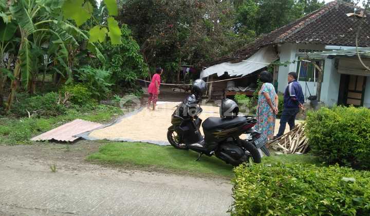 Kavling Potensial Area Bambanglipuro - Cocok untuk Hunian atau Investasi