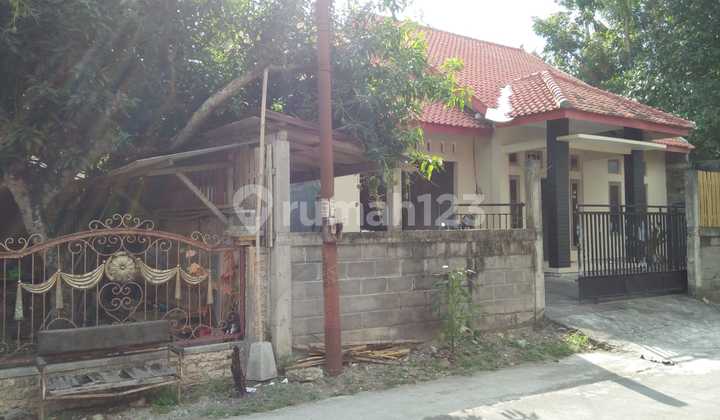 Hunian Asri di Giripeni Kulon Progo - Lingkungan Tenang & Sejuk 2