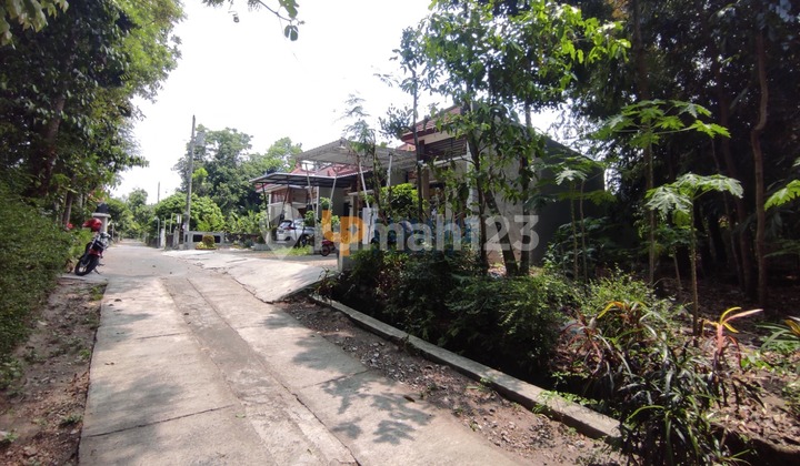 Comfortable Residence in Bugisan Prambanan - Green &amp; Serene Environment