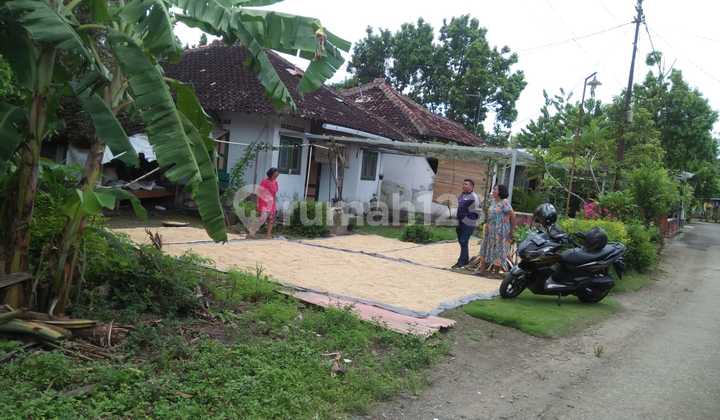 Dijual Tanah Pekarangan Cocok untuk Investasi di Bantul