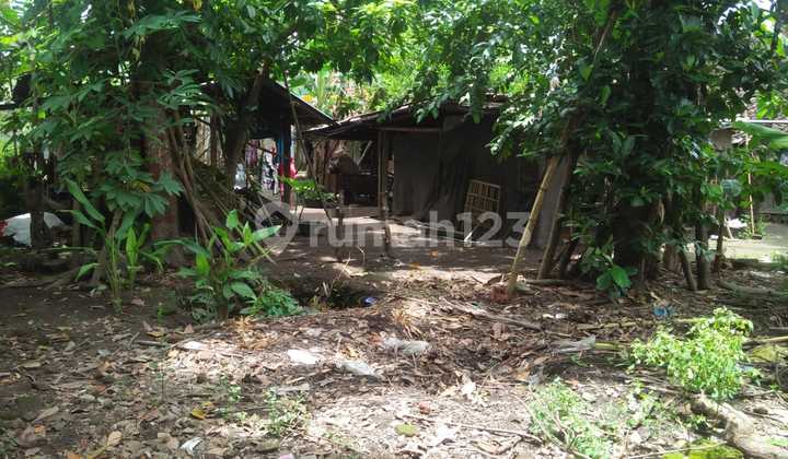 Promo Tanah Pekarangan Strategis di Bambanglipuro Bantul, Sertifikat SHM Aman Promo Tanah Pekarangan Strategis di Bambanglipuro Bantul, Sertifikat SHM Aman