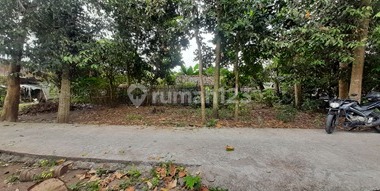 Promo Tanah Pekarangan Murah di Tlogoadi Sleman, Dekat Pasar Cebongan dan Lingkungan Nyaman Promo Tanah Pekarangan Murah di Tlogoadi Sleman, Dekat Pasar Cebongan dan Lingkungan Nyaman