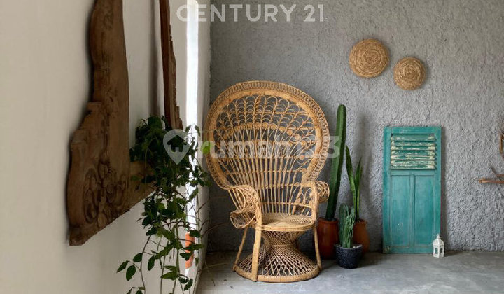 Rumah Mungil Cantik Lokasi Strategis Pusat Kota Tegal Rumah Mungil Cantik Lokasi Strategis Pusat Kota Tegal