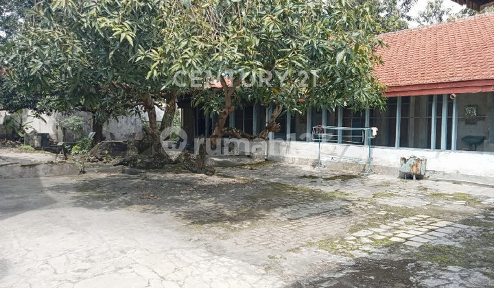 Rumah Luas, Klasik, dan Strategis di Tengah Kota Tegal 2