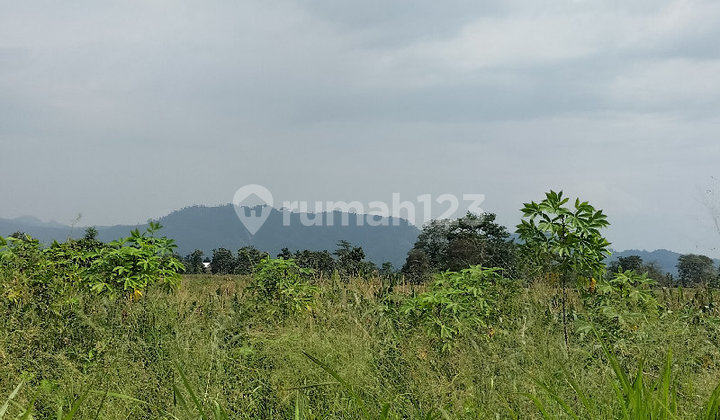 Tanah Zona Industri Siap untuk Pembangunan Pabrik Tanah Zona Industri Siap untuk Pembangunan Pabrik