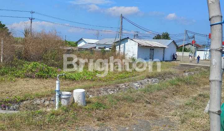Tambak Udang 10 Ha Siap Beroperasi di Situbondo Tambak Udang 10 Ha Siap Beroperasi di Situbondo