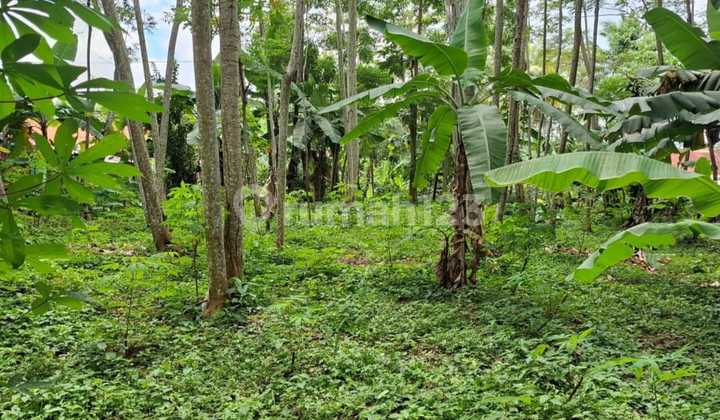 Tanah For Sale In Purwakarta Jawa Barat