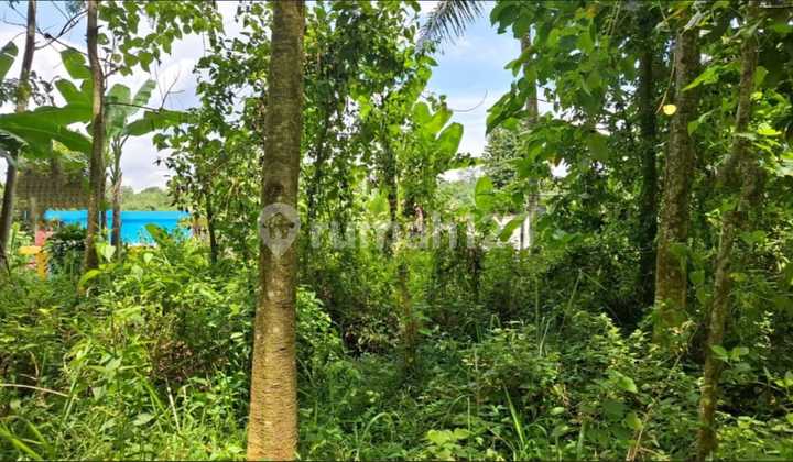 Tanah Dijual di Purwakarta, Dekat Jalan Raya Utama Cikalong-Cipeundeuy, Dekat Jalan Utama Menuju Bendungan Cirata