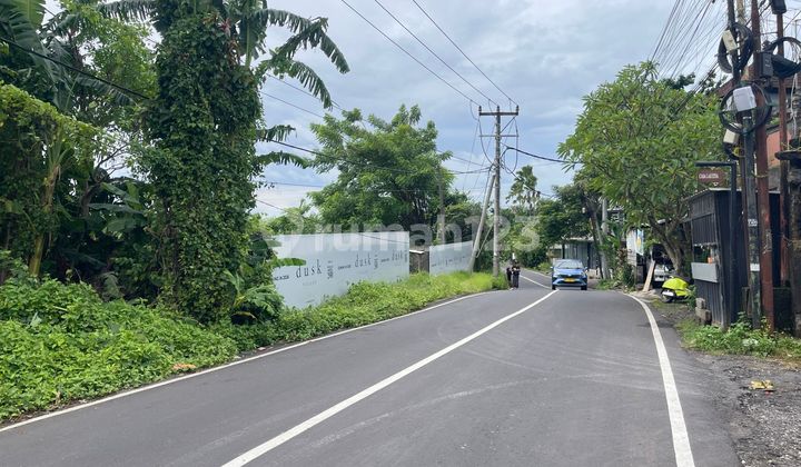 Dijual Tanah Lokasi di Jalan Utama Raya Tumbak Bayuh, Pererenan, Canggu Dijual Tanah Lokasi di Jalan Utama Raya Tumbak Bayuh, Pererenan, Canggu