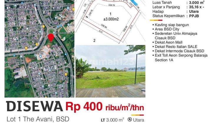 Disewa Kavling Komersial Bsd City Avani Luasan 3000 M2 Harga Sewa 400 Ribu m exclude Ppn, Exclude Pph Nego Sd Deal Peruntukan Office,f b