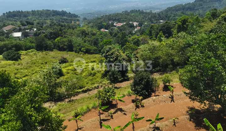 DIJUAL TANAH UNTUK KEBON di BOGOR JAWA BARAT